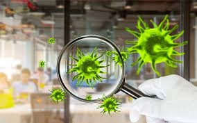 5 MẸO KHỬ MÙI HÔI TRÊN THẢM VĂN PHÒNG HIỆU QUẢ TỨC THÌ