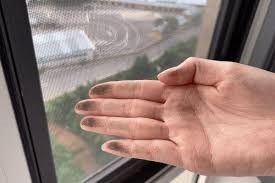 Ánh Sáng Hoàn Hảo; Vệ Sinh Công Nghiệp Chuyên Sâu Cửa Sổ, Khung Cửa và  Lưới Chống Muỗi