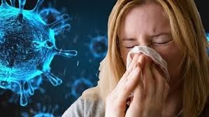 Chống Nấm Mốc Và Dị Ứng: Vệ Sinh Công Nghiệp Chuyên Sâu Khu Vực Giặt Ủi và Tủ Quần Áo – Nền Tảng Cho Sức Khỏe Gia Đình
