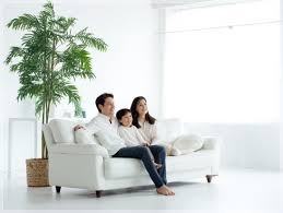 Câu Chuyện Về Chiếc Sofa:Nơi Gắn Kết Yêu Thương Của Gia Đình