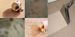 Giặt Thảm Văn Phòng TPHCM – Giải Pháp Giữ Gìn Không Gian Làm Việc Sạch Đẹp, Chuyên Nghiệp