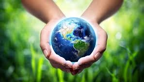 Giặt Thảm Văn Phòng Thân Thiện Môi Trường – Xu Hướng Làm Sạch Xanh Cho Doanh Nghiệp Hiện Đại