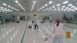 Phủ Bóng Sàn VINYL